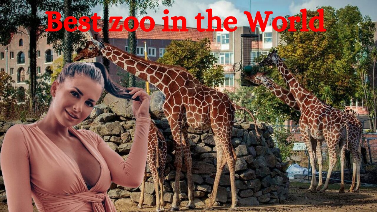 Roaring Good Times_ Top 20 Zoos in the World