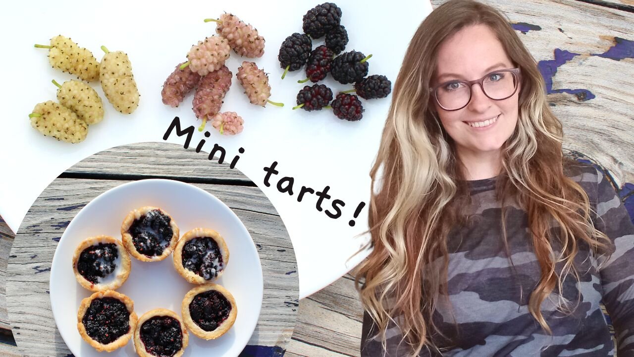 Mulberries and Mini Tarts | Easy foraging in the Texas #wild #homemade #summer