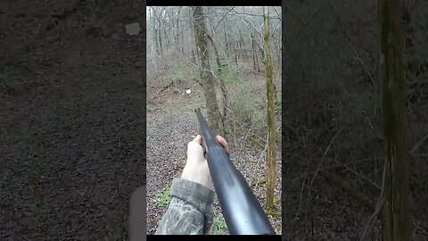 16 gauge shotgun