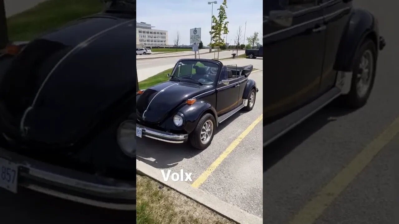 Old Volx shortie #shorts #sfmcollective #cars #volkswagen