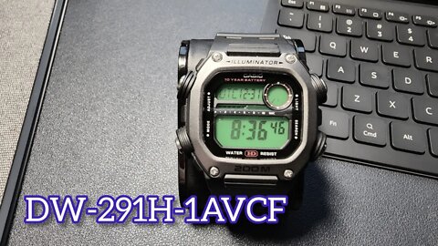 Casio DW-291 Mod