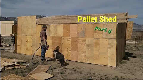 Pallet Shed Construction 4