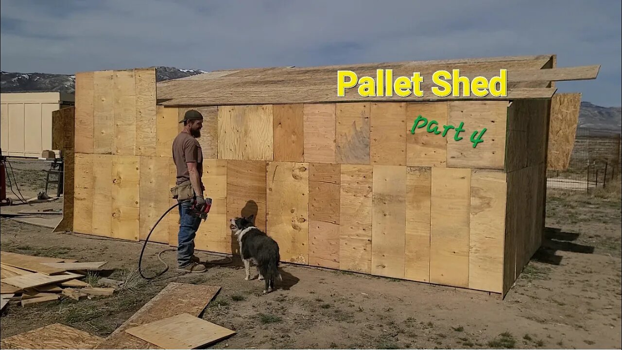 Pallet Shed Construction 4