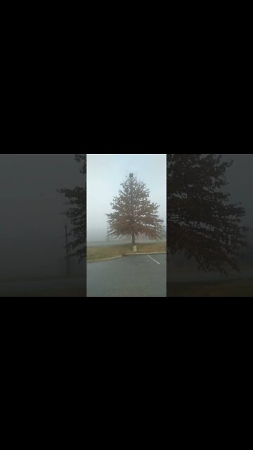 Scot Shorts #22 // Foggy Morning In Kentucky