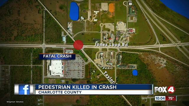 Pedestrian Killed in Crash