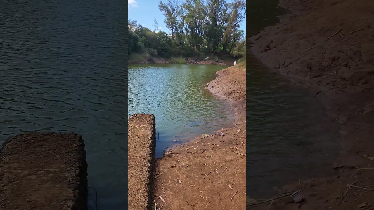 Sneak Peak Lake Wilson Hawaii Peacock Bass Fishing Teaser