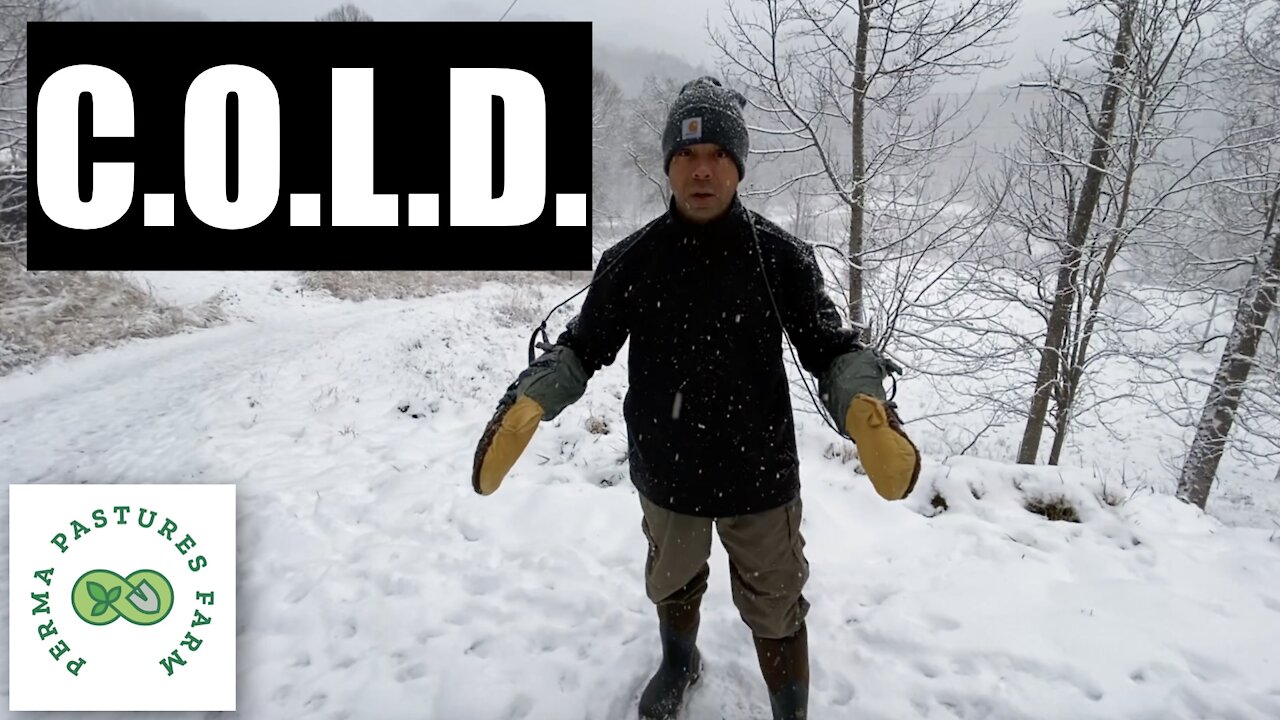 Get C.O.L.D. To Stay Warm!