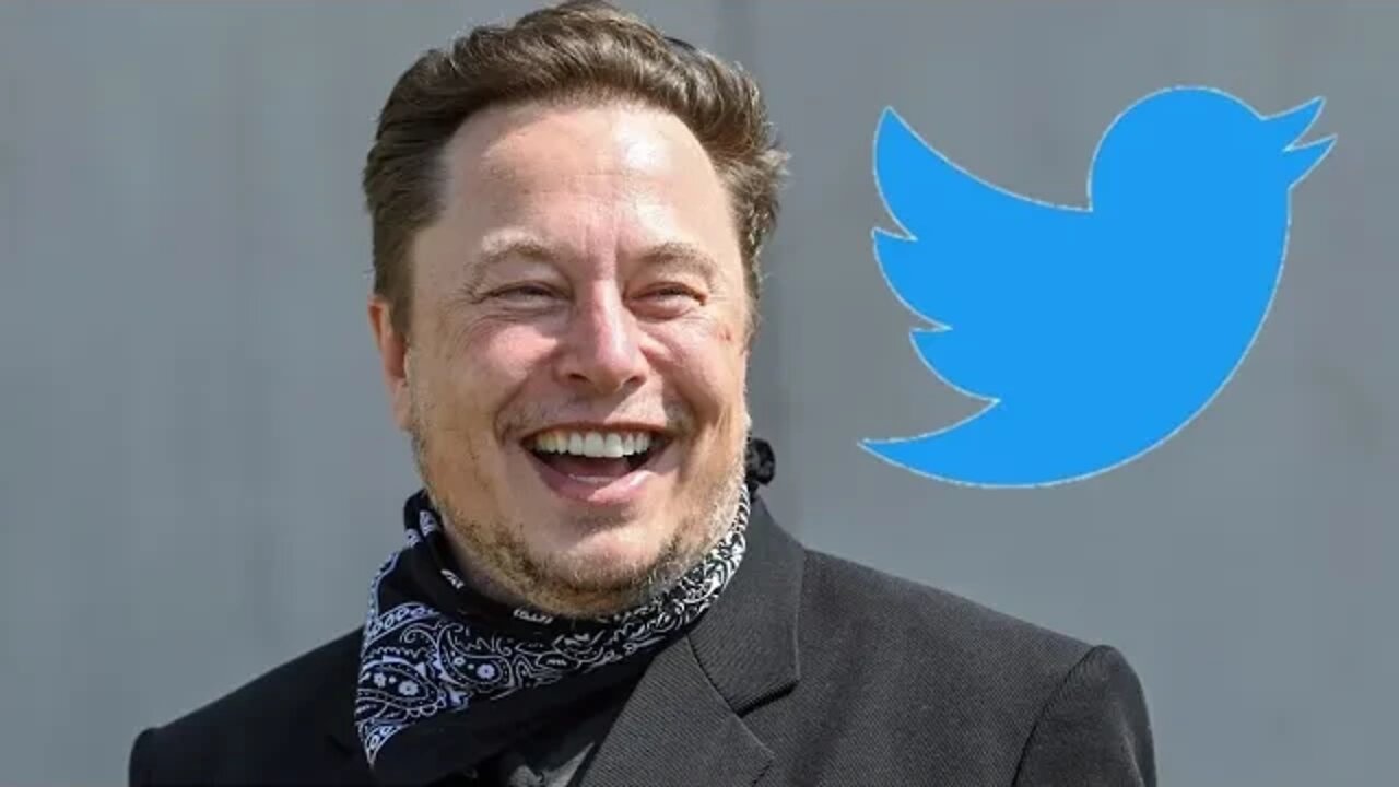 WOKE Twitter Employees BEG Elon Musk To Not FIRE Them