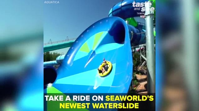 New waterslide ‘Ray Rush’ opens at SeaWorld’s Aquatica | Taste and See Tampa Bay