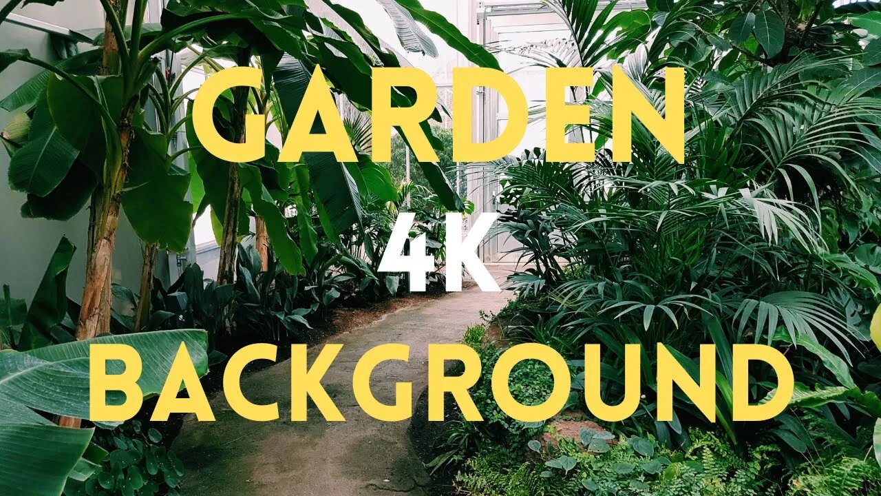 GARDEN 4K BACKGROUND