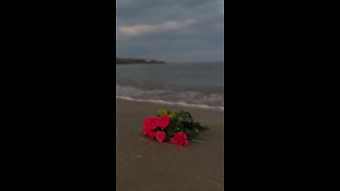 nice 🌹