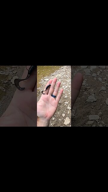 Switching baits after EVERY catch PART 5!