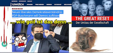 „Neues liberales Demokratieverständnis: FDP-Buschmann will Demos auflösen und weitere Sauereien!!!“
