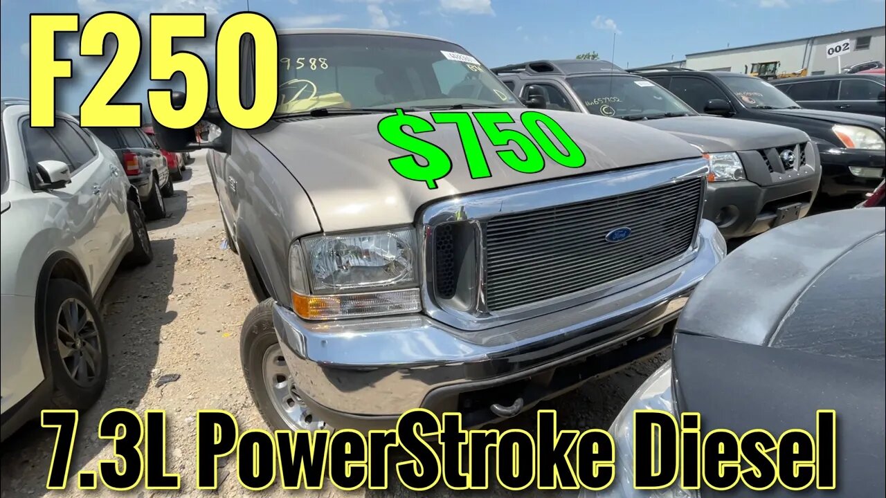 Ford F-250 7.3 Diesel Copart Walk Around