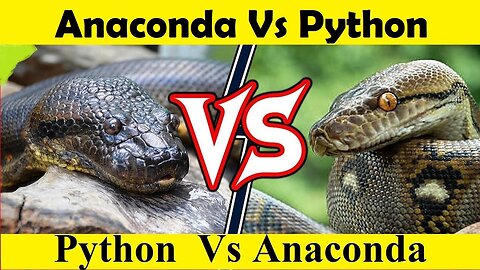 Python Fight Anaconda. Python Vs Anaconda. (Tutorial Video)