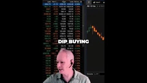 The Brutal Truth About Dip Buying A Vicious Dance with Volatility