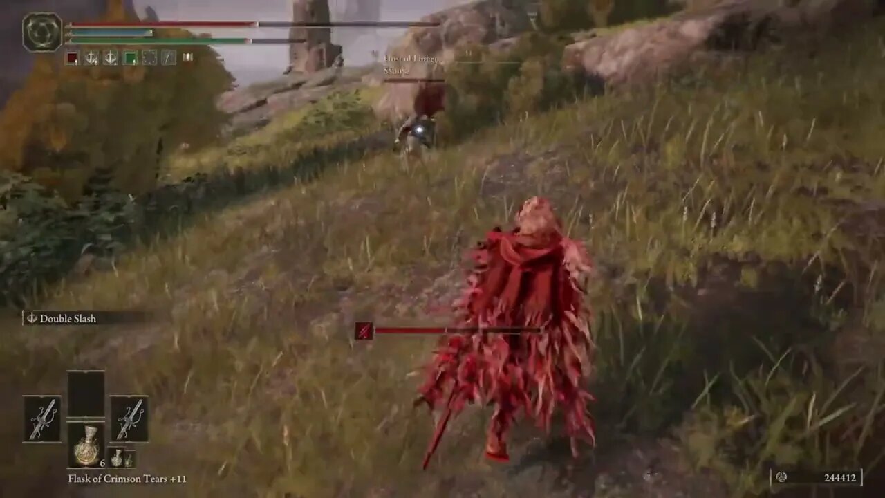 Elden Ring invasions #82