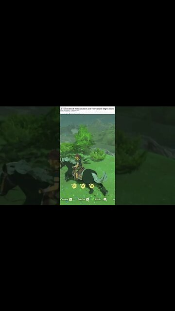 A taxonomy of reminiscence and therapeutic implications #Watt #Wong