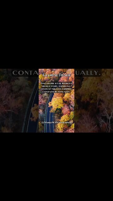 Global Trade: "Trade Trails: A Journey into the Thriving Global Exchange" Fact #3 #shorts