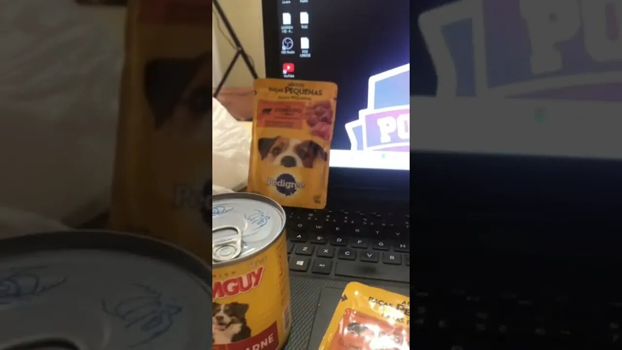 adianta ter um podcast se não tem mimos para os doguinhos ? Não ! Obrigado @anapetspetshop #shorts