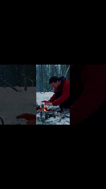 Winter Bushcraft Camp & Chaga Mushroom Tea!