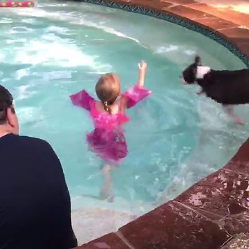 Tot Girl Gets Into A Pool And A Dog Jumps On Top Of Her