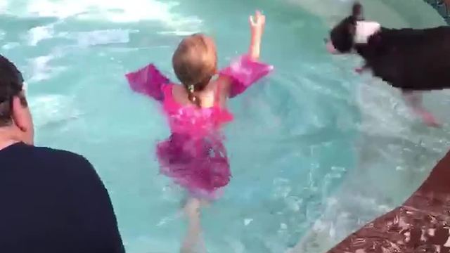 Tot Girl Gets Into A Pool And A Dog Jumps On Top Of Her