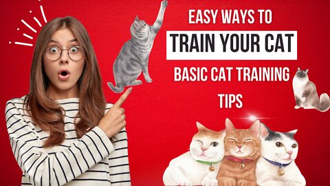Basic Cat Training Tips