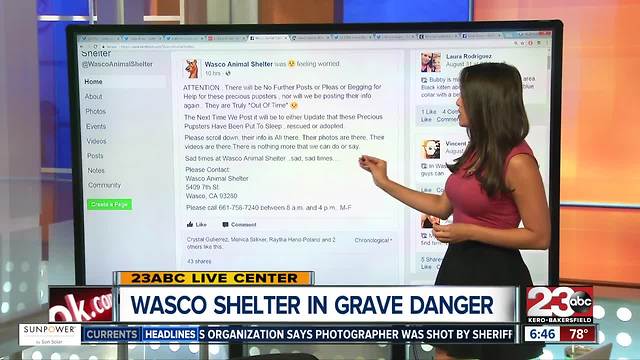 Wasco Animal Shelter full and in danger