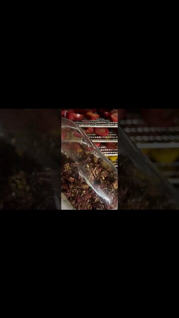 Easy Way to Preserve Cherry Tomatoes