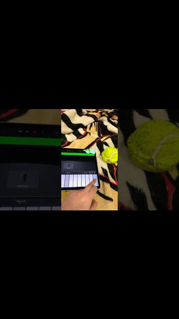 No internet connection