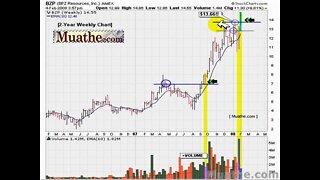 HOT Breakout Stocks To Watch; BZP 02/05/2008