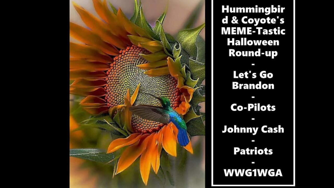 Hummingbird and Coyote's MEME-Tastic Halloween Roundup Ft The Co-Pilots, Johnny Cash and Bryson Gray