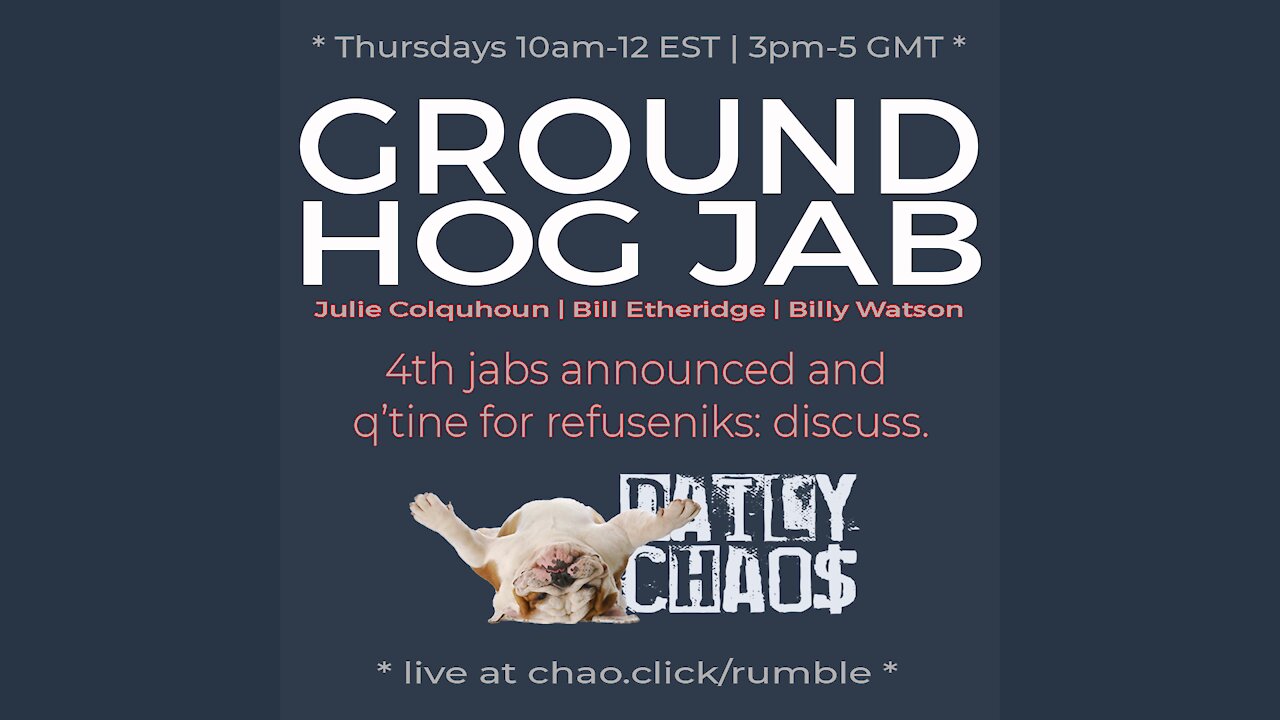 GROUNDHOG JAB ~ Daily Chaos