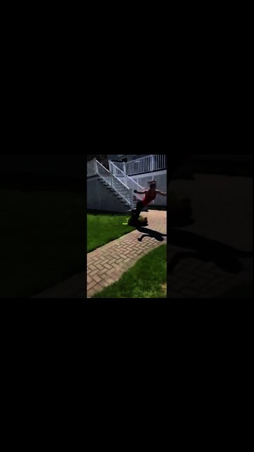 A dog is a girls best friend