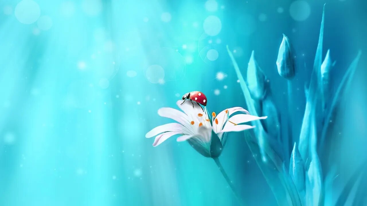 Beautiful Soothing Piano Music - Ladybug Meadow 🐞