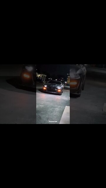 Manifest #ford #mustangsociety #fordperformance #fordracing #shelby #fordmustang #shorts