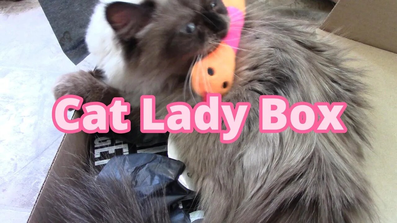 Cat lady Box (Feral & Fabulous) Unboxing April 2023😻!