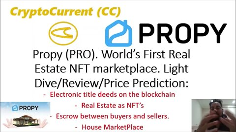 Propy (PRO). First Real Estate CryptoMarketplace. Light Dive/Review/Price Prediction