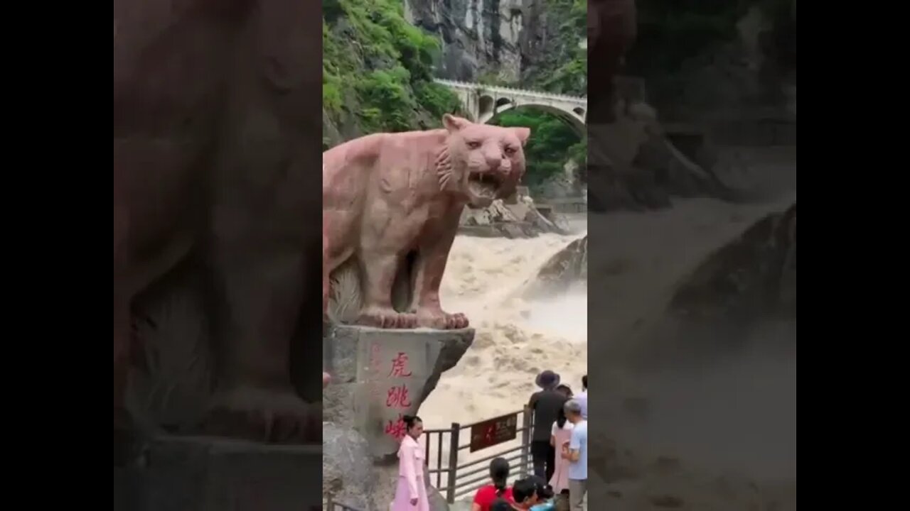 Water pool king short
