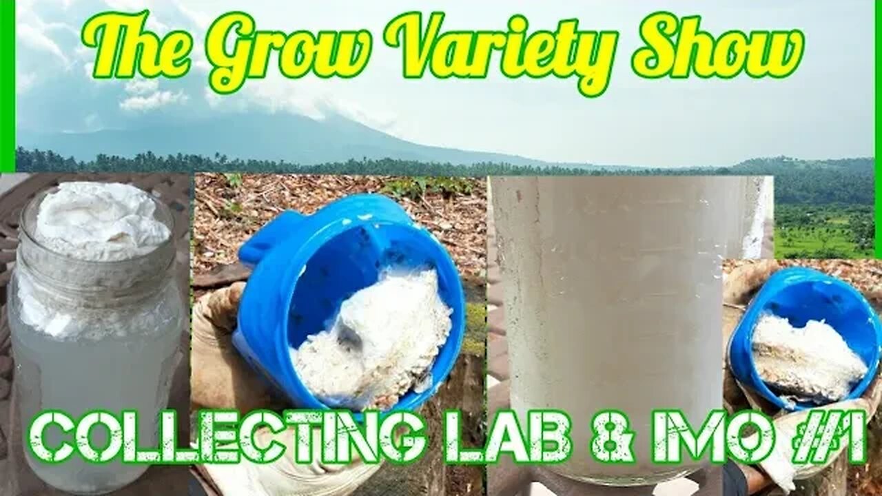 Collecting Lactobacillus & IMO #1 (The Grow Variety Show - KNF ep.245)