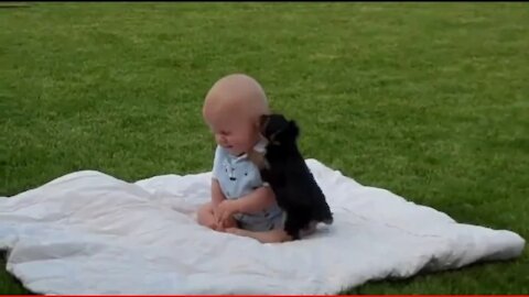 Baby playing with cuddly dog