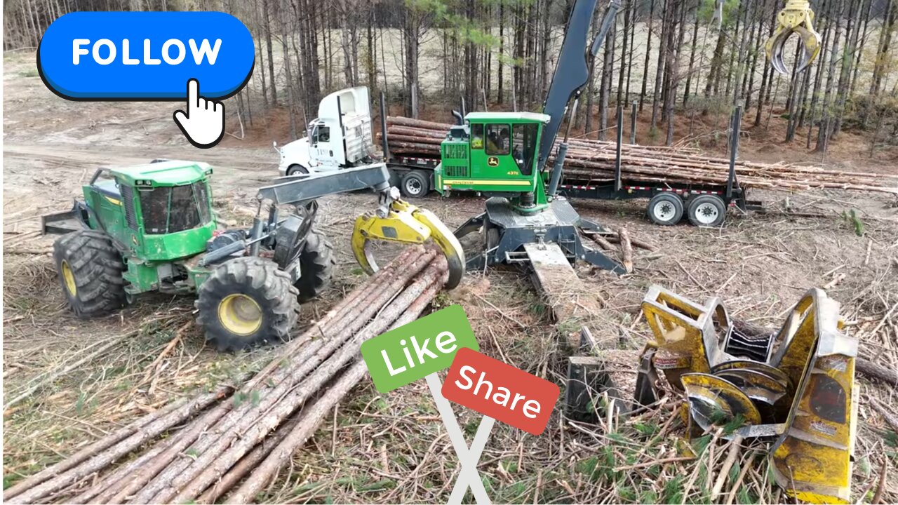 Carolina Logging | go pro on saw head