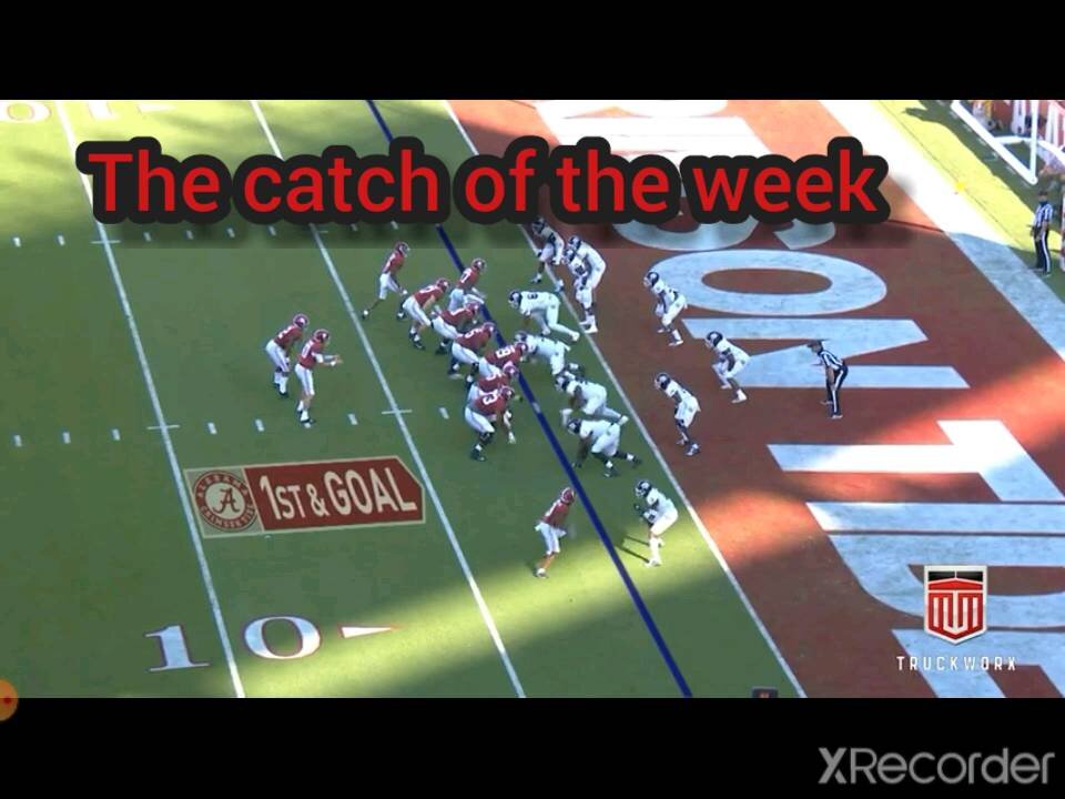 The catch of the week