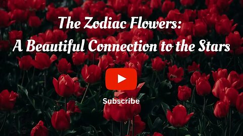 The Zodiac Flowers A Beautiful Connection to the Stars