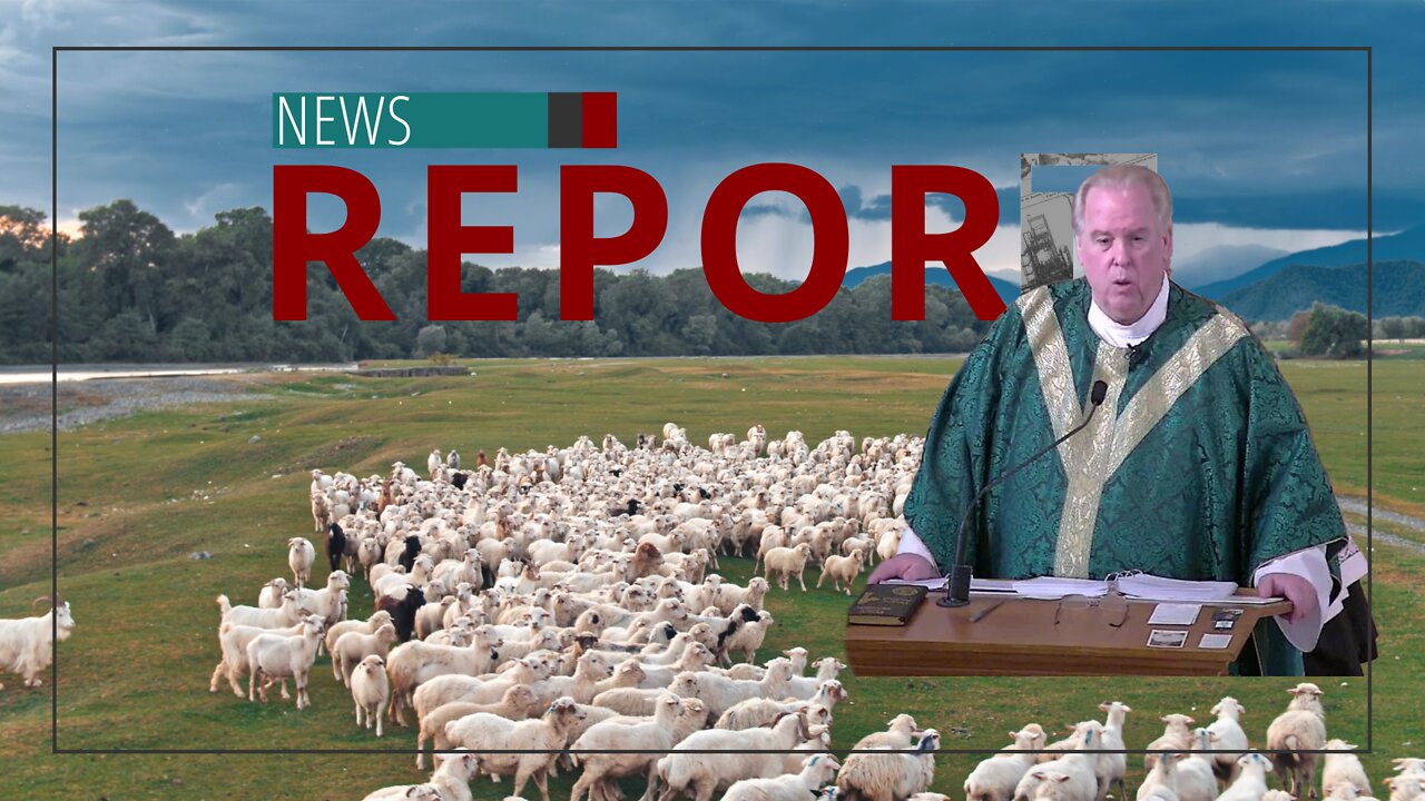 Catholic — News Report — Heilman Calls Out Hirelings