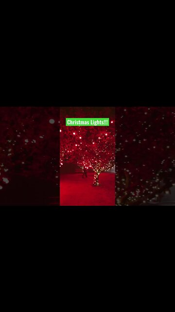 Nov 12 Thankful For … #shorts