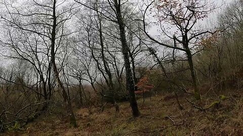 Finding a pitch at Reddacleeve farm campsite. Dartmoor. 20th March 2023 part 14