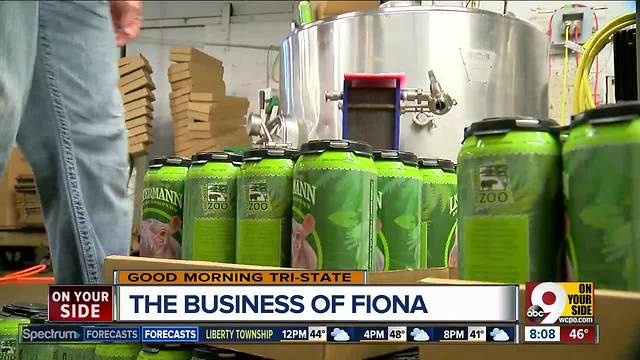 The business of Fiona: Is Cincinnati's favorite hippo being over-commercialized?