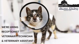 Stone Ridge Veterinary Clinic Riverton Utah